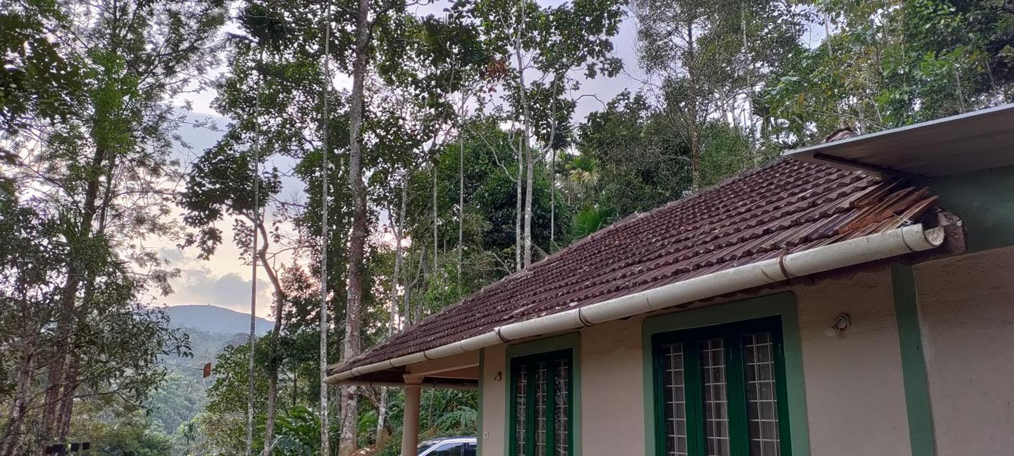 Kattappana Coffee Camp Home Stay With Tree House מראה חיצוני תמונה
