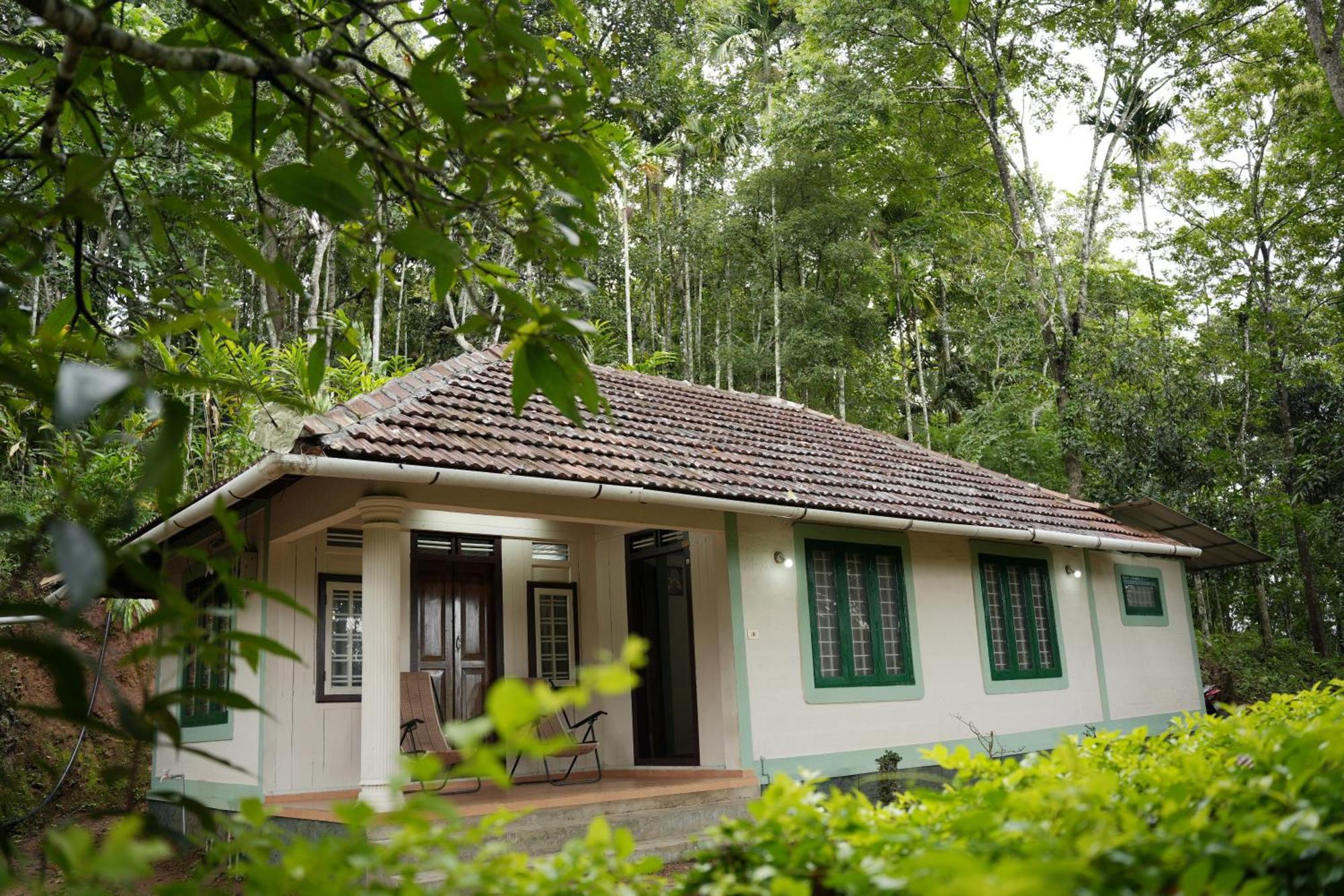Kattappana Coffee Camp Home Stay With Tree House מראה חיצוני תמונה