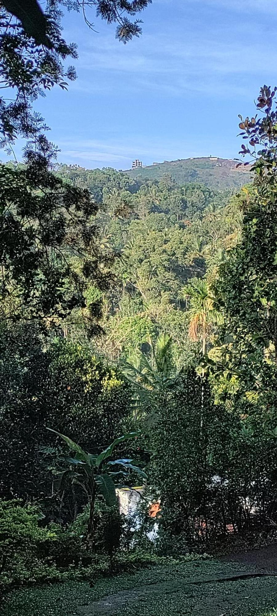 Kattappana Coffee Camp Home Stay With Tree House מראה חיצוני תמונה