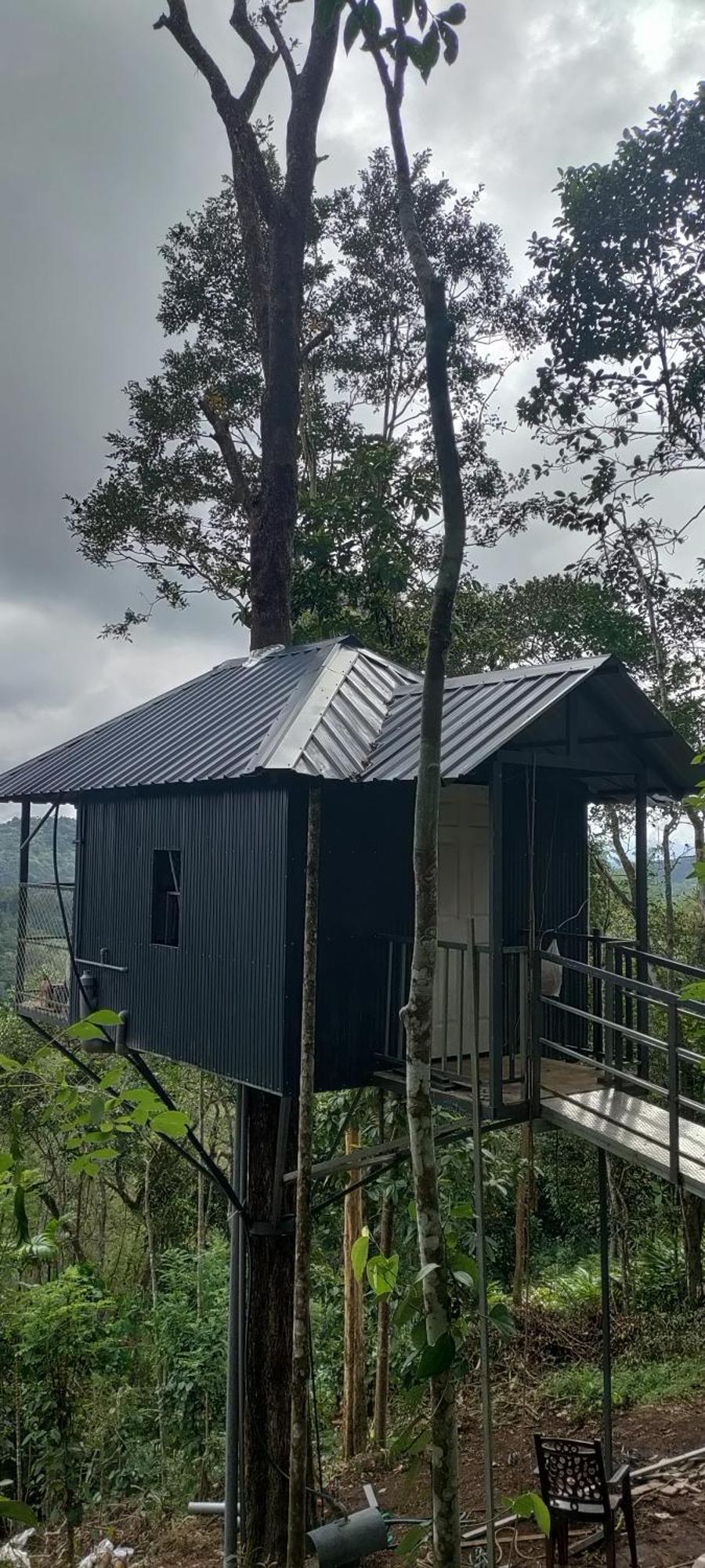 Kattappana Coffee Camp Home Stay With Tree House מראה חיצוני תמונה