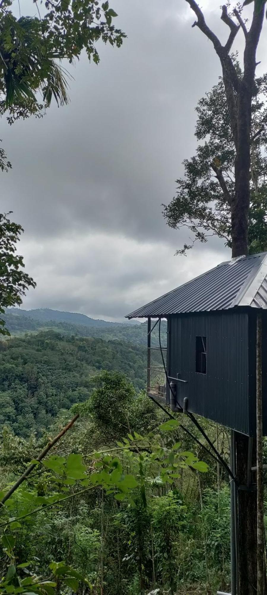 Kattappana Coffee Camp Home Stay With Tree House מראה חיצוני תמונה